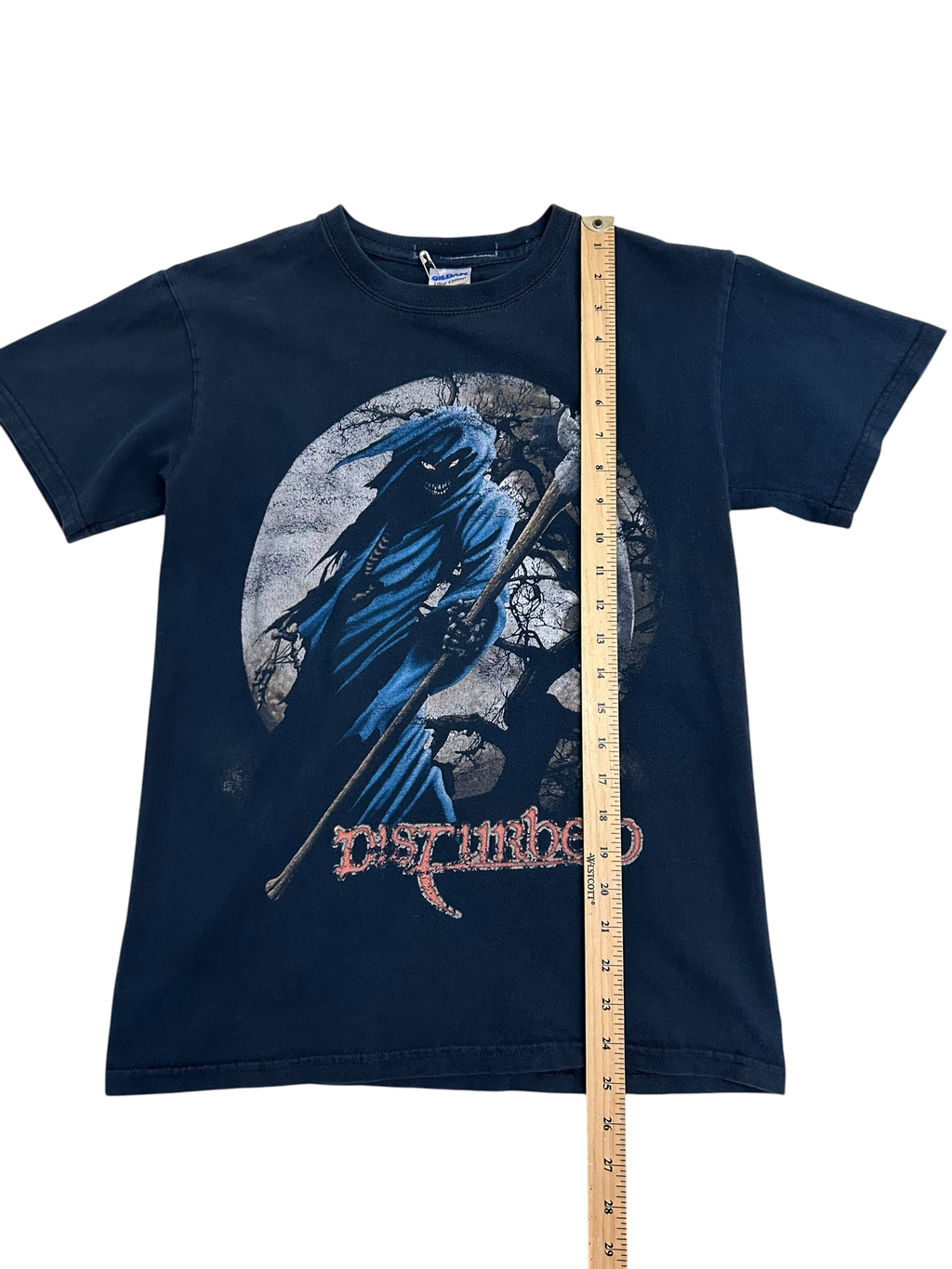 2016 Disturbed (Small)