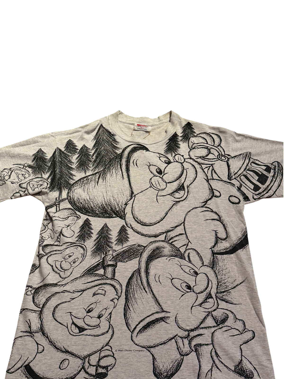 Disney’s Snow White Dwarves (M/L)