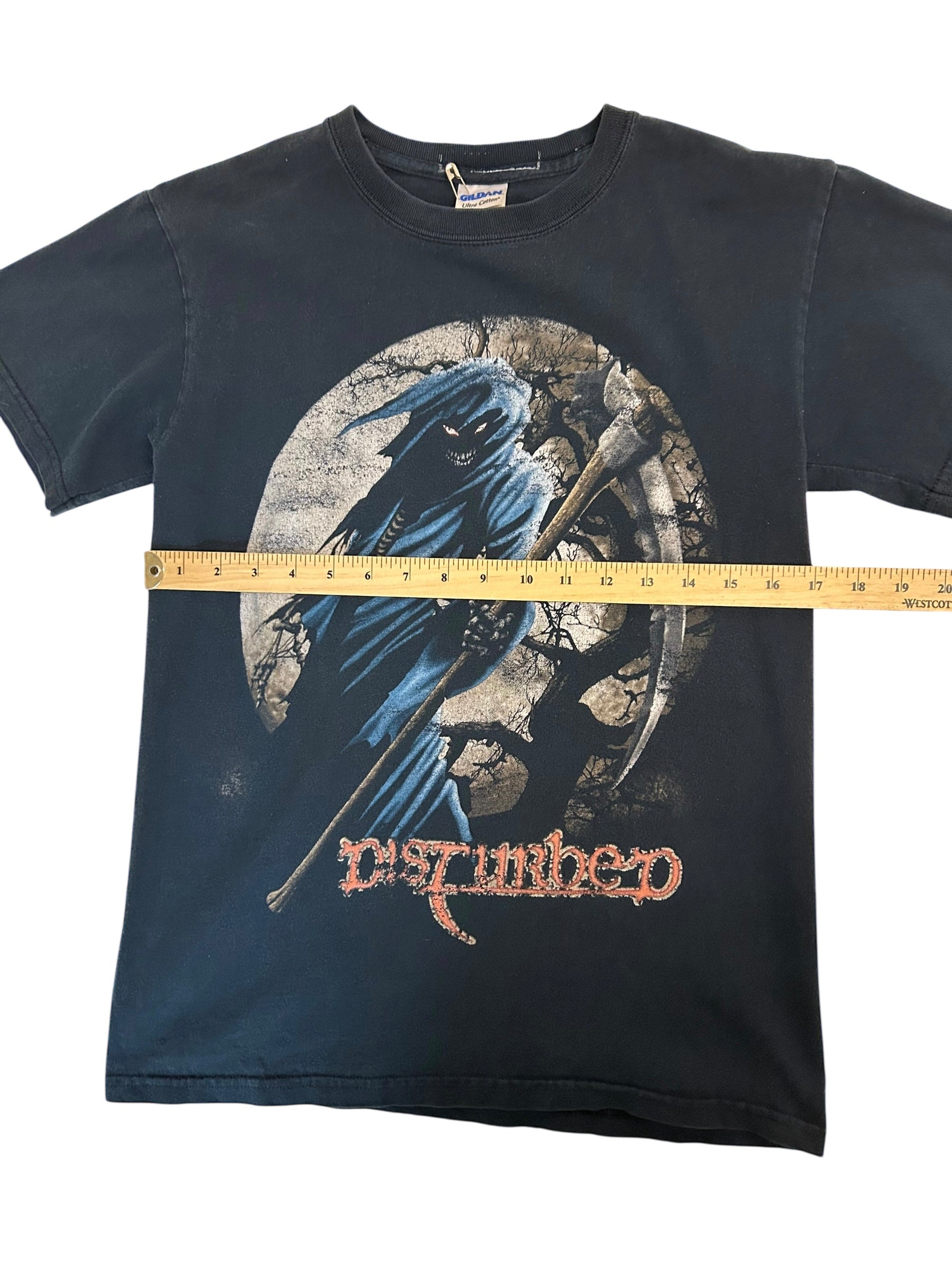 2016 Disturbed (Small)