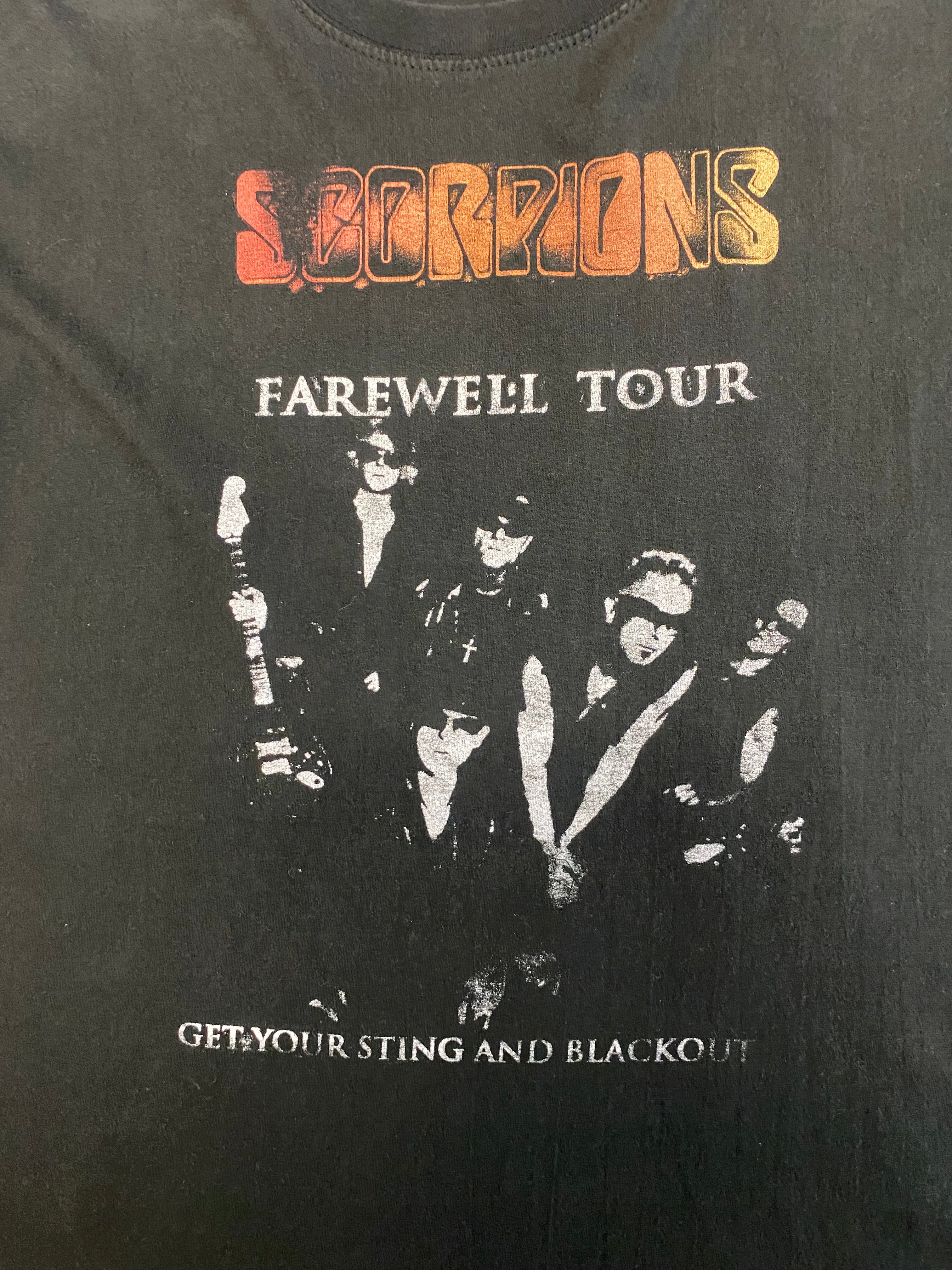 2010 Scorpions (Large)