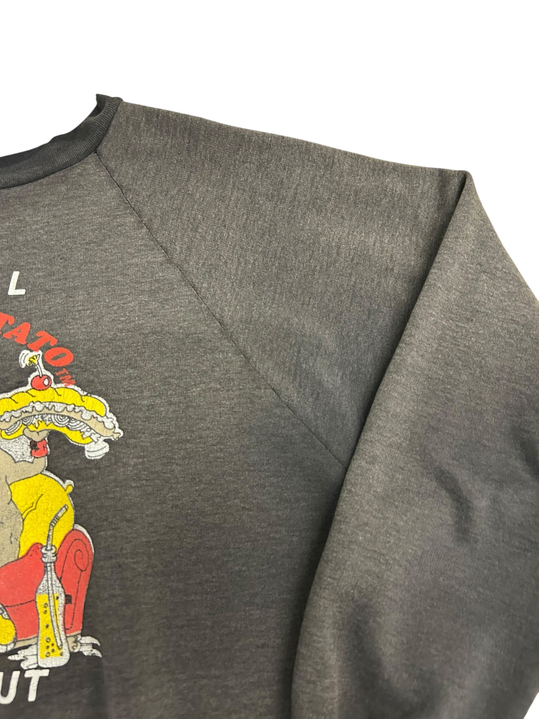 Vintage “Official Couch Potato Workout” Graphic Sweatshirt – Distressed Novelty Crewneck – Size Large