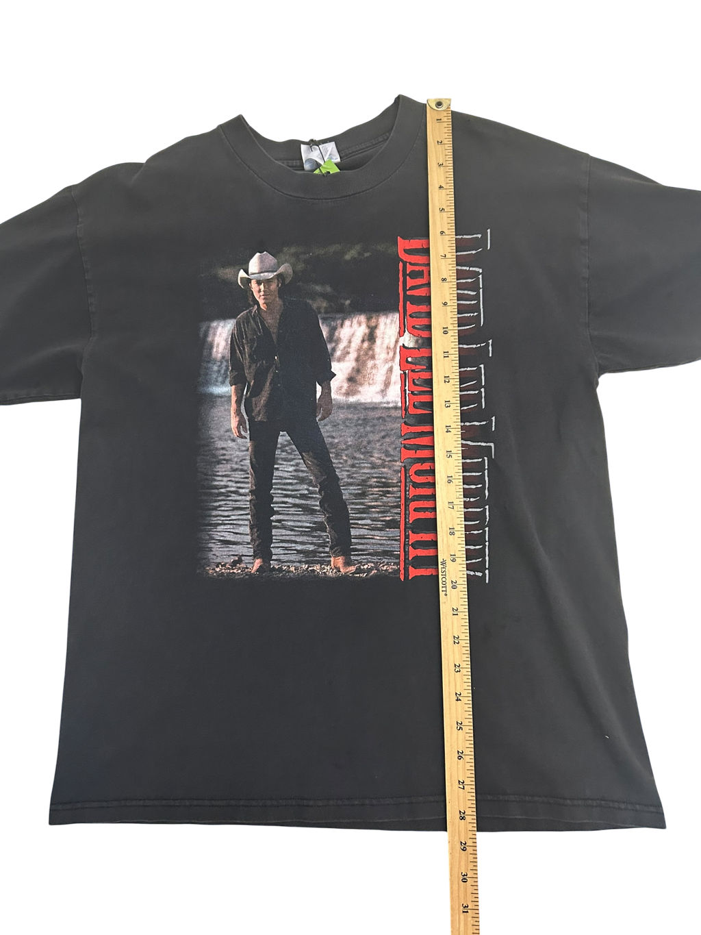 1997 David Lee Murphy (Large)