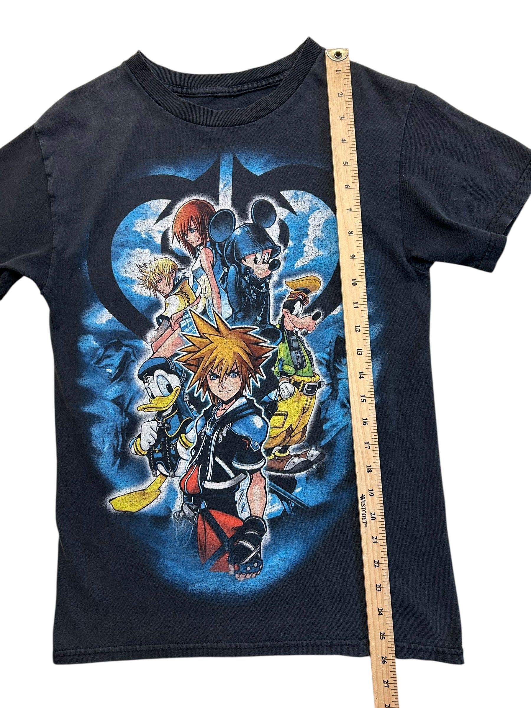 Kingdom Hearts (Small)