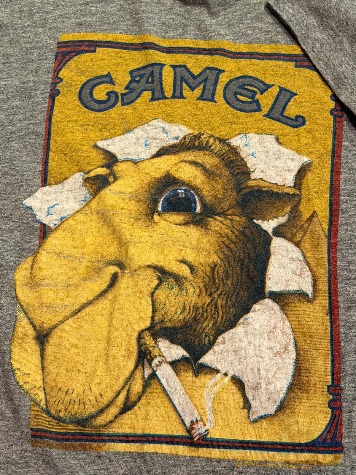 Camel Cigs (Medium)