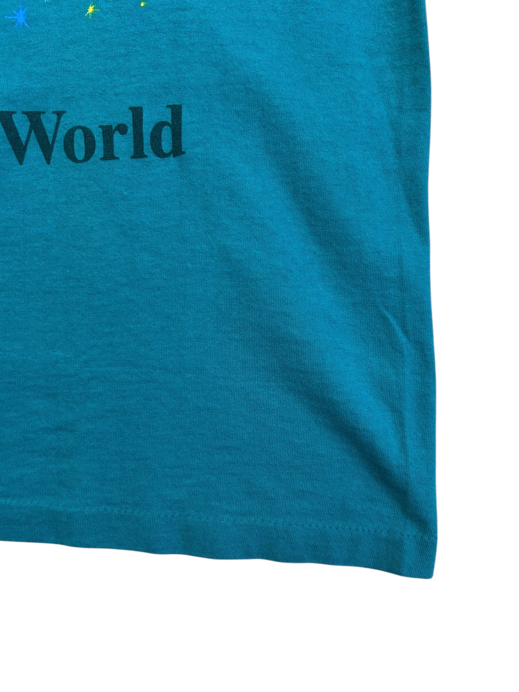 Walt Disney World 25th Anniversary (Large)