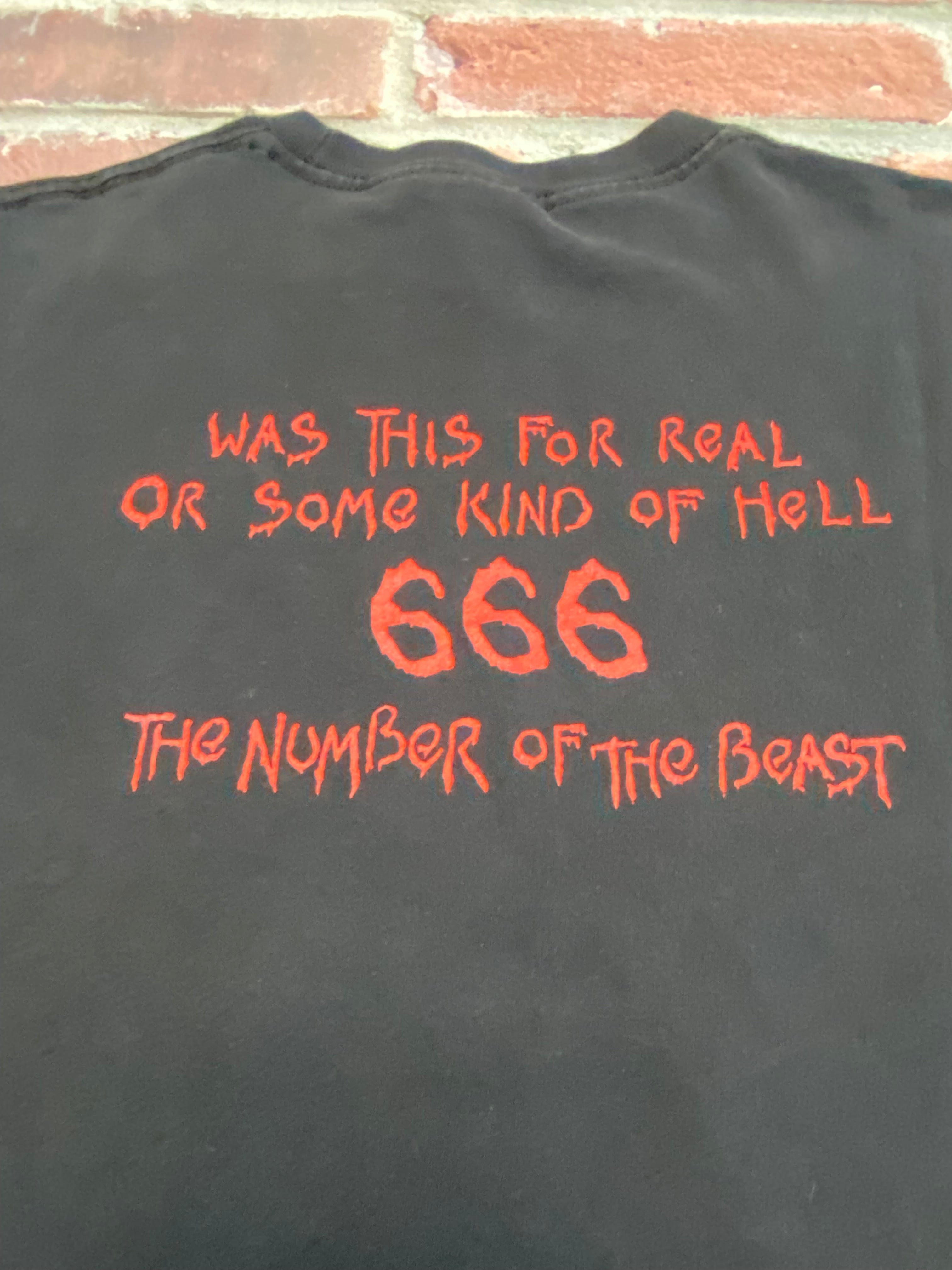 Iron Maiden (Medium)