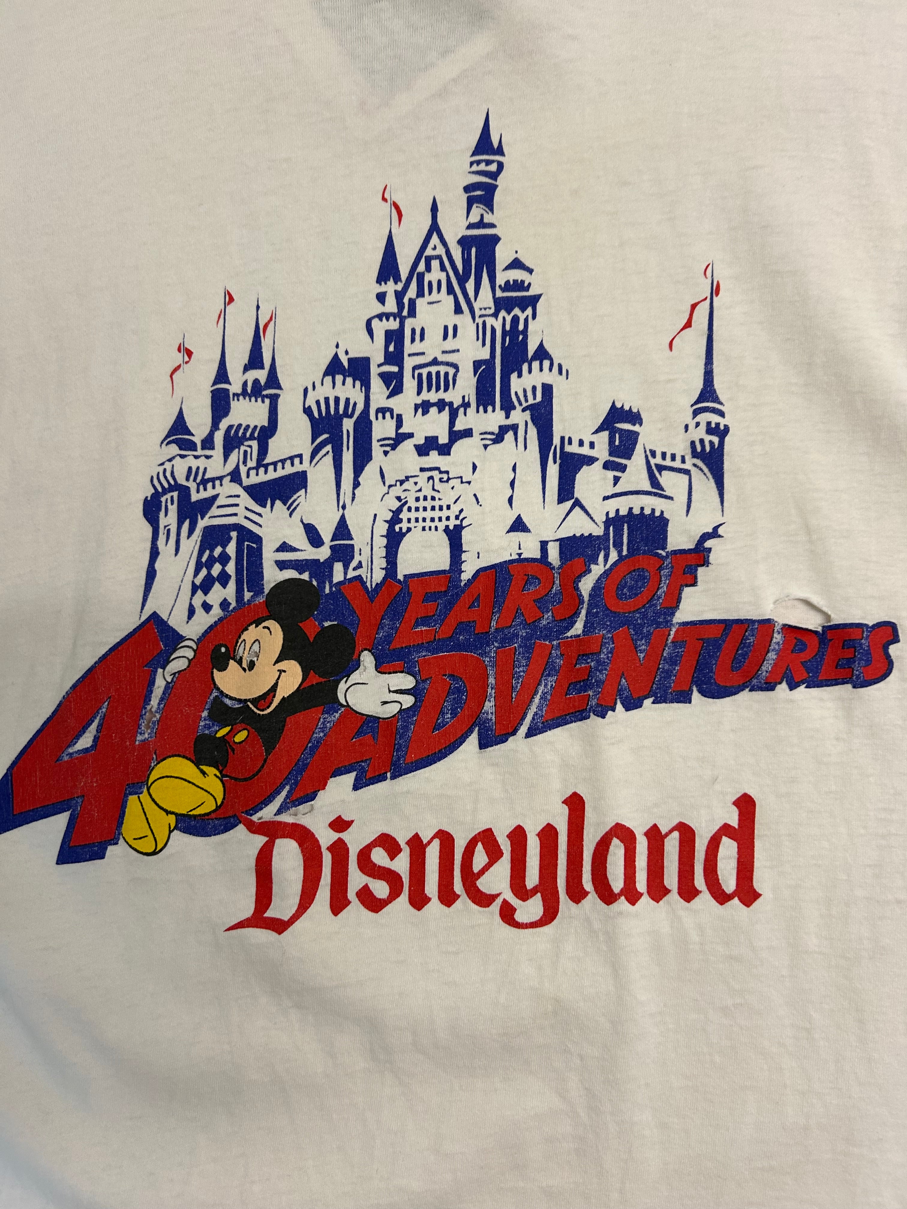 40 Years of Disney (Large)