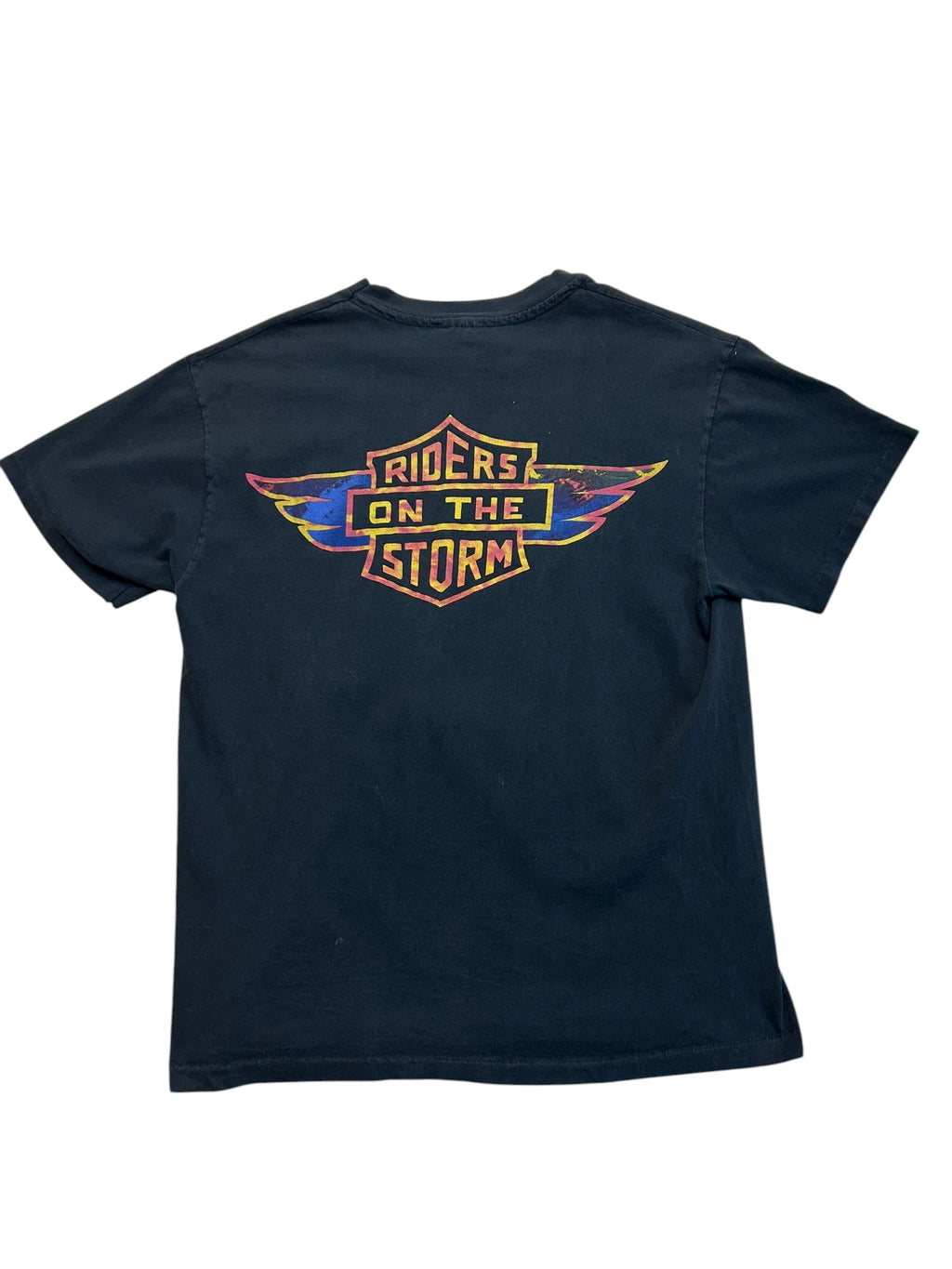 The Doors “Riders on The Storm” (Large)