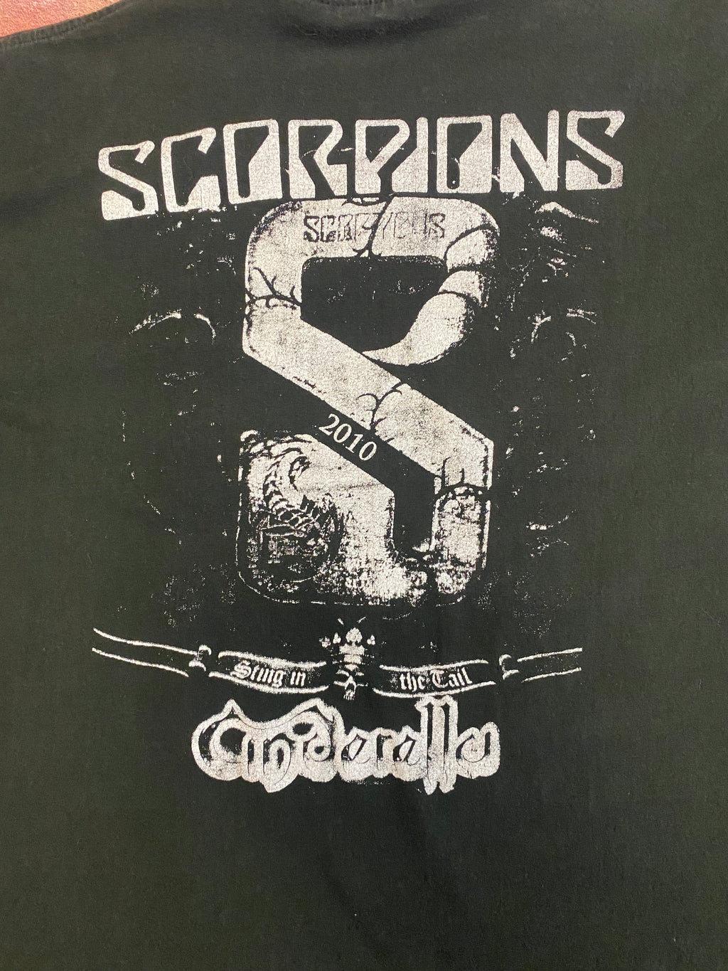 2010 Scorpions (Large)
