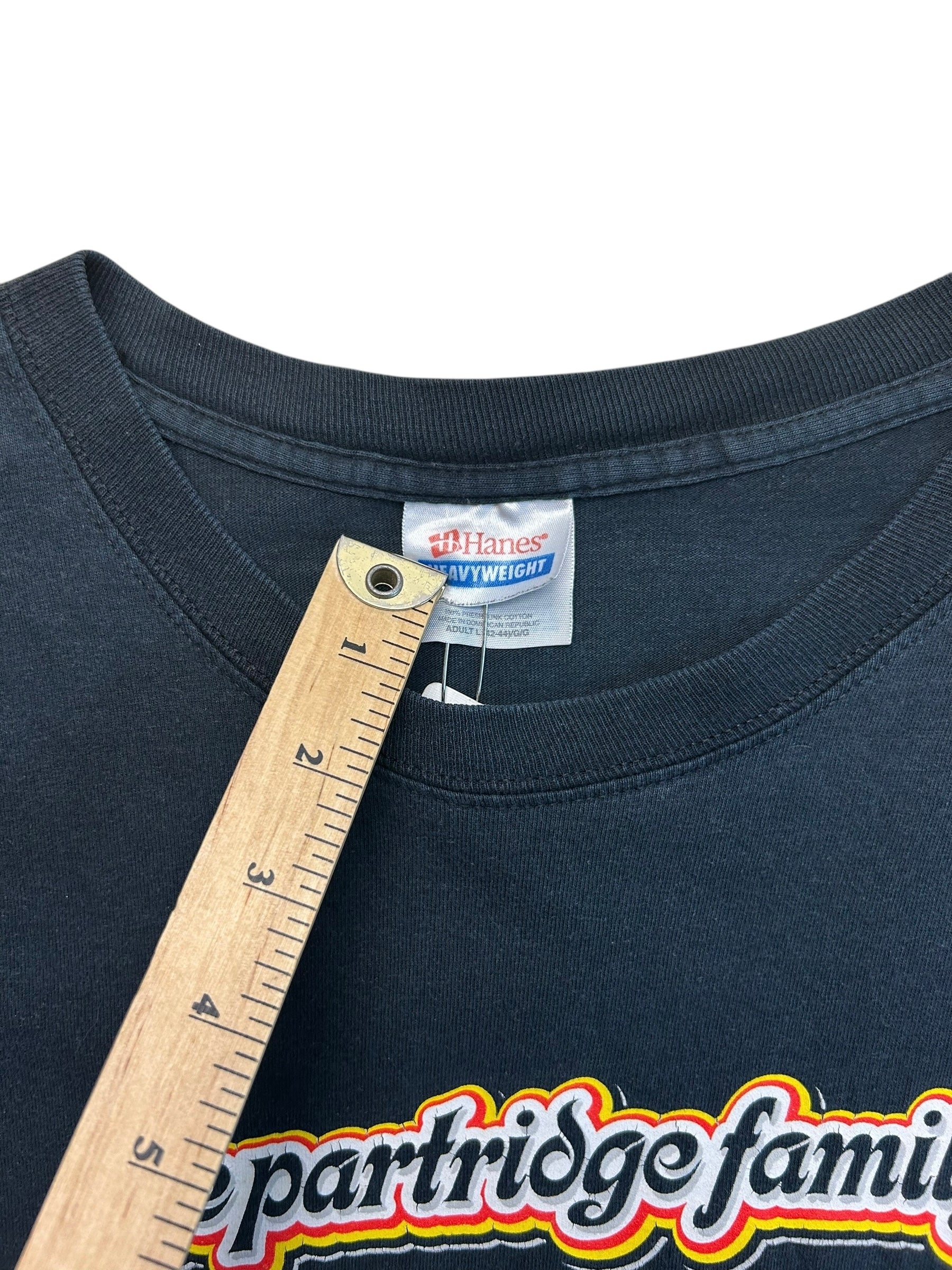 1998 The Partridge Family (Large)