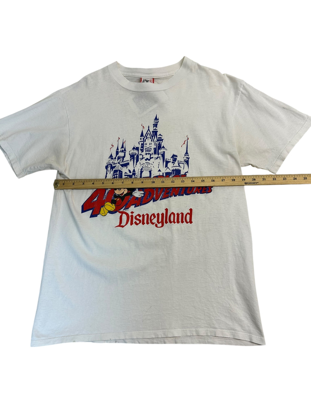 40 Years of Disney (Large)