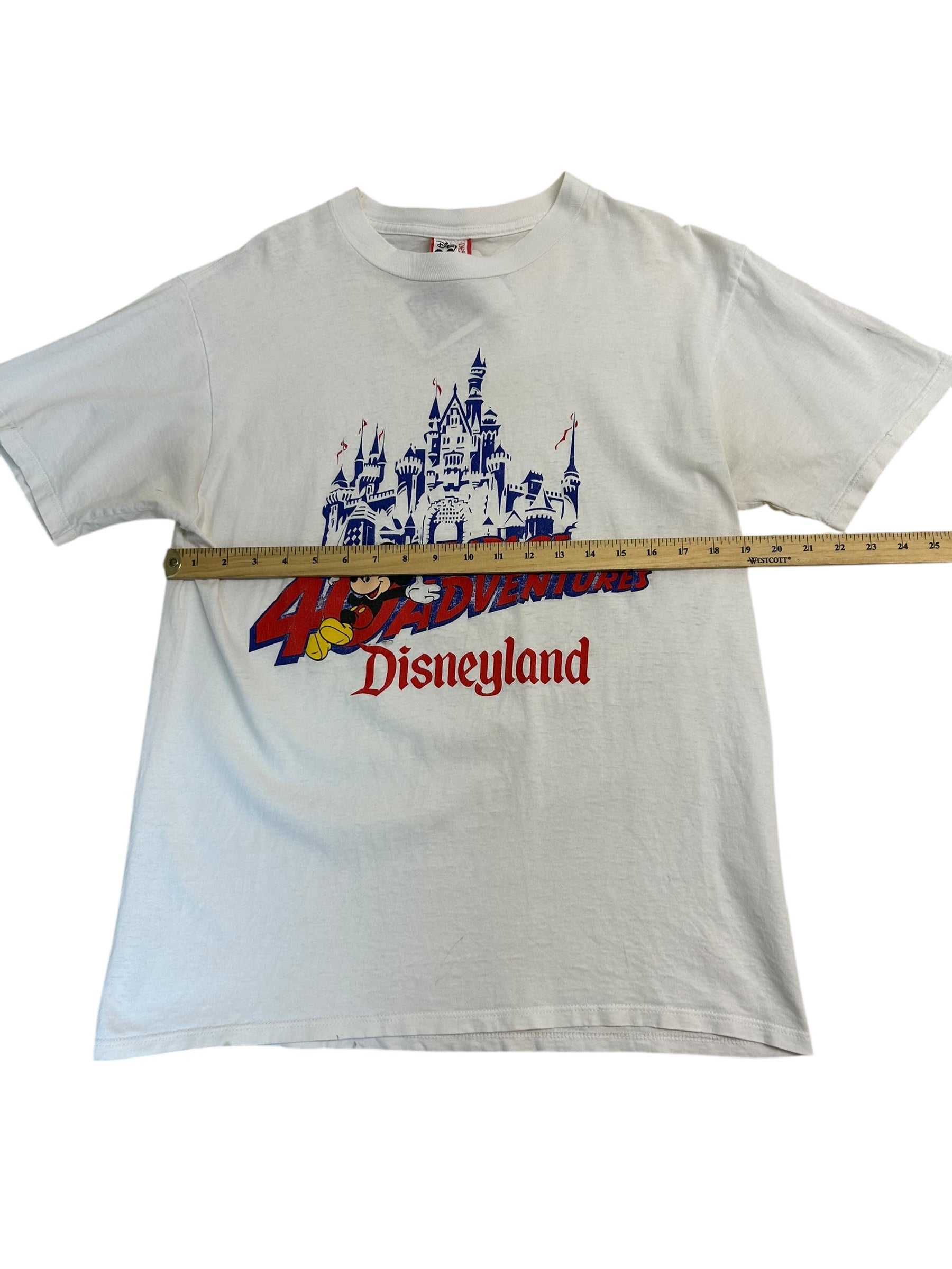 40 Years of Disney (Large)