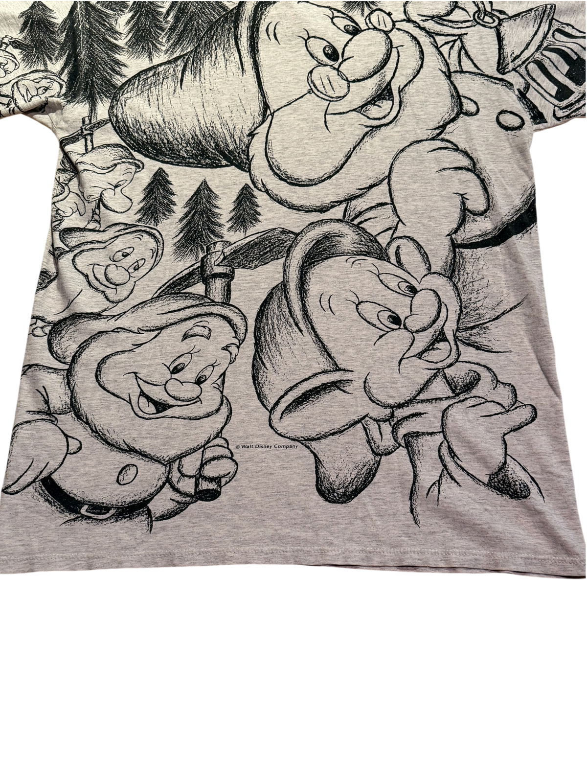 Disney’s Snow White Dwarves (M/L)