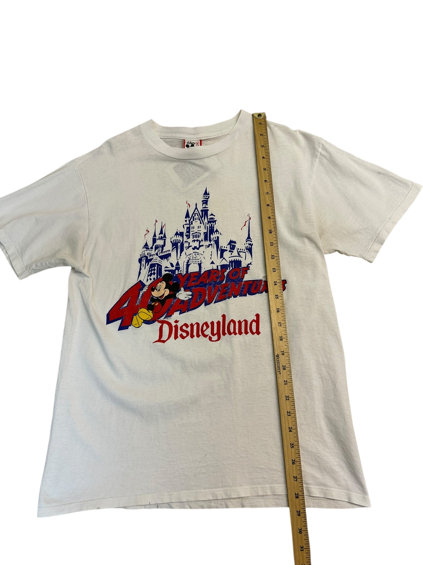 40 Years of Disney (Large)